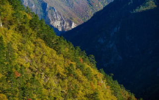 Nacionalni park Drina - Nacionalni park Drina