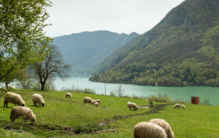 Nacionalni park Drina - Nacionalni park Drina